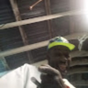 Meet your Posher, Antone